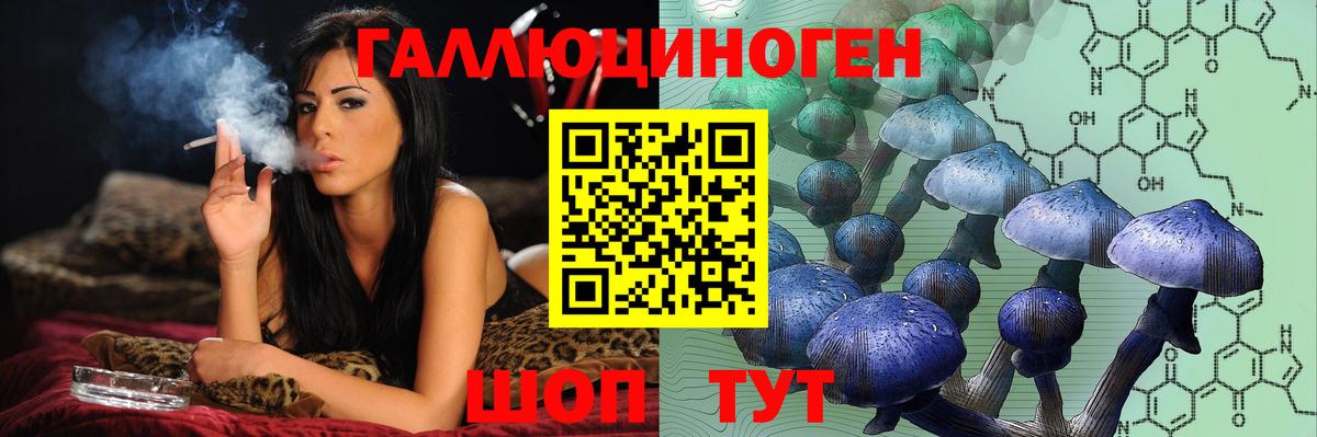 купить   Вход с VPN  Киров  Галлюциногенные грибы Psilocybine cubensis 